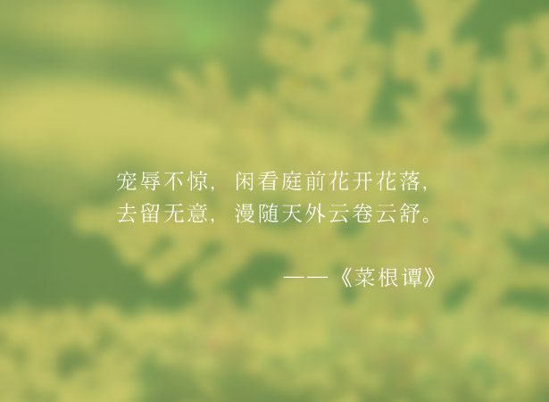 西安市國稅局舉行西北首家互聯網企業代開增值稅專用發票試點業務發布會