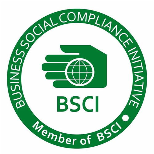 專業bsci驗廠 bsci驗廠 銳志達